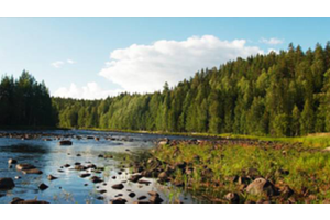 Karelia Cross